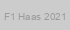 F1 Haas 2021